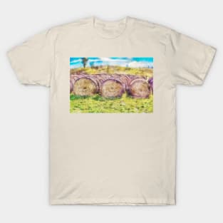 Hay Bales 6 T-Shirt